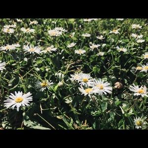 Meet your Posher, Kaylee